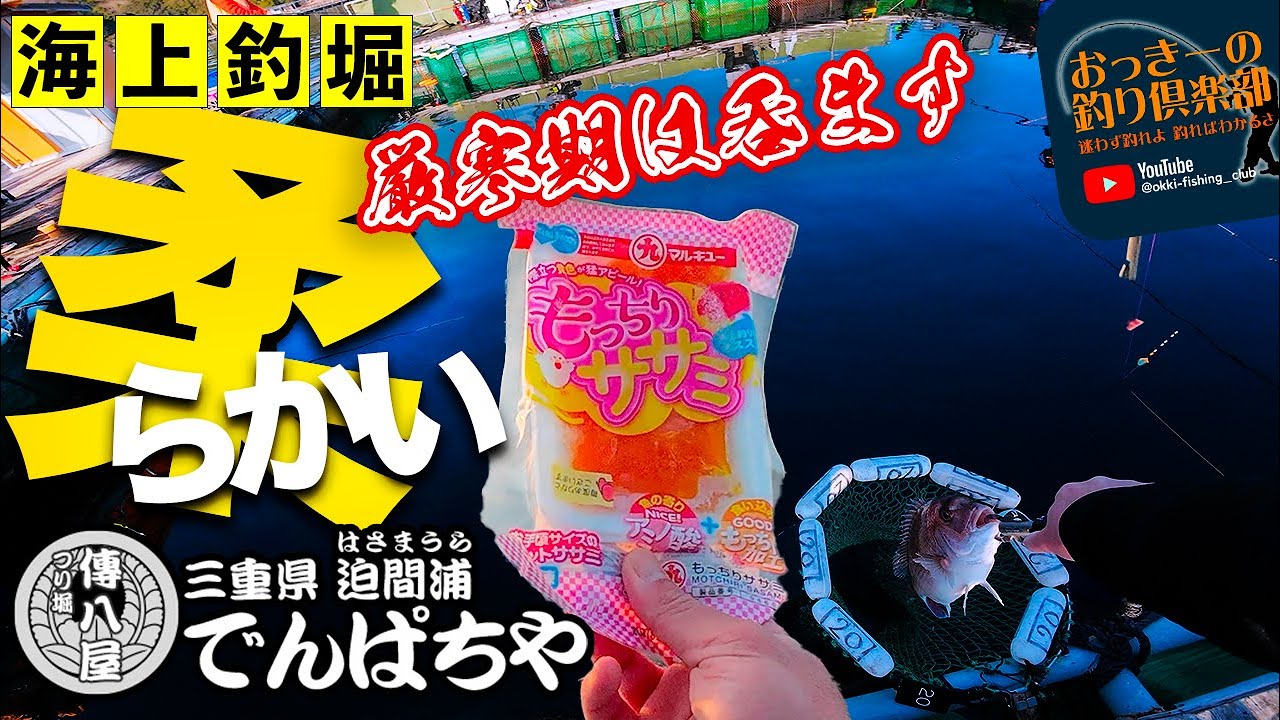 【海上釣堀】鰤放流！厳寒期の傳八デー！柔らかい餌をしっかり呑ませて獲る
