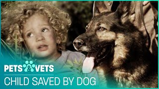 Calgary Rescue Dogs Save Trapped Toddler's Life Twice! | Pet Heroes