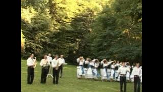 Ionică Ardeleanu și Puiu Codreanu - Ca și noi nu cântă nimeni