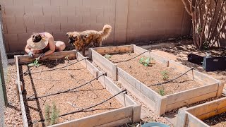My 1st time sowing seeds + pests already ?! Ep. 2 by Michelle Rother 338 views 11 months ago 10 minutes, 35 seconds