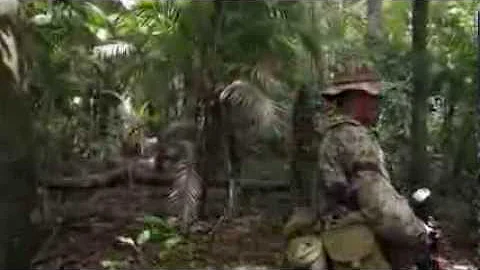 Manhunt: Killer Bees Attack Crew