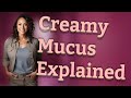 Why Is Cervical Mucus Creamy Instead of Clear During Fertile Days?