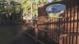 Zoo Boise unveils new and improved Small Animal Kingdom