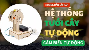 Hướng dẫn lắp ráp Hệ thống tưới cây tự động cảm biến độ ẩm| #môhình #stemedu  #steam #diy #stem