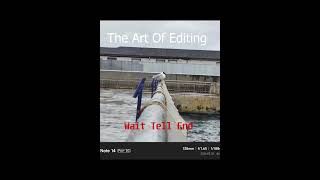 THE ART OF EDITING