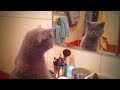 Funny Mirror Pics Funny Mirror Pics