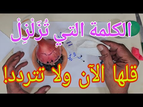 ق ل هذه الكلمة حالا وسيأتيك الحبيب بلا تردد