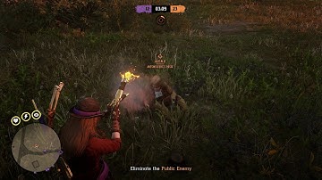 Red Dead Online Hacker Name aattal11