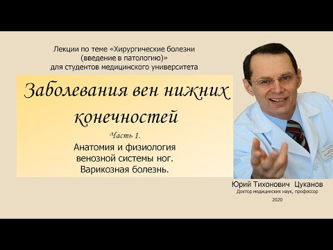 Болезни вен, часть 1. Варикозная болезнь  (первичный варикоз). Лекция для студентов медуниверситета.