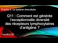 Chap 4 : Le système immunitaire - Q11 : Comment est générée la diversité des récepteurs d'antigène ?