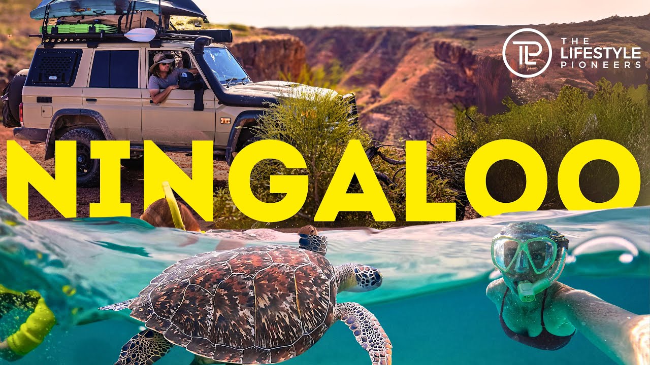 😲 Do NOT MISS THIS In Exmouth! + Most Popular Campground In Aus!