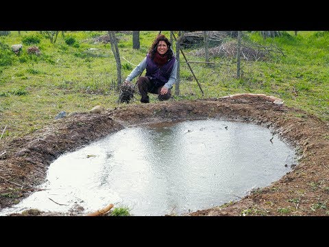 Video: Come fare uno stagno in campagna con le tue mani? Foto con istruzioni