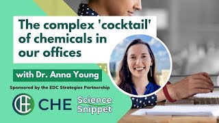 Famous Dr. Anna Young on the Complex Chemical 'Cocktail' in our Offices Profile