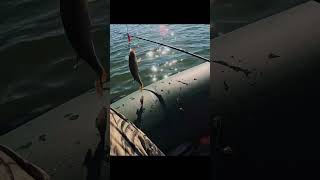 Вертушка Mepps 4 всегда в топе 🔥.        #рыбалка #рыбалканаозере #fishing #