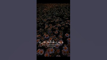 { نورٌ على نور }♡القارئ شريف مصطفى♡سورة النور 🍡