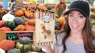 TRADER JOES NEW FALL ITEMS 2018 // SHOP WITH ME + HAUL // MEAL IDEAS