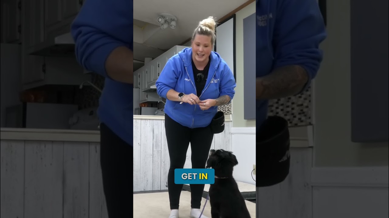 Do THIS Before You Start Leash Training!