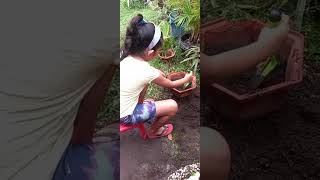 SIES Performance Task for EPP 2026 By Annvey Dela Rama Grade 4 Saturn 