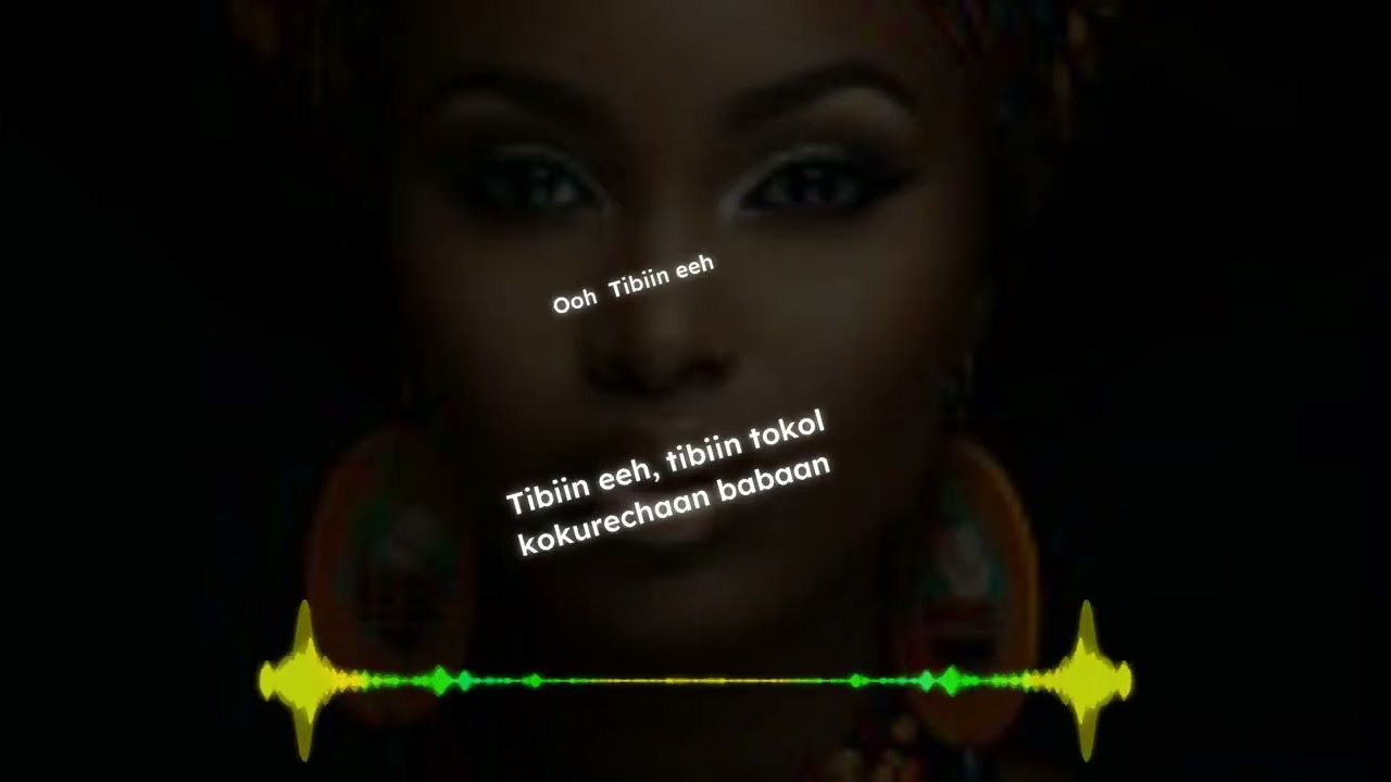ASSIS DANCERS_TIBIIN (VISUALIZER)