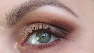 Zoeva -Together We Shine-