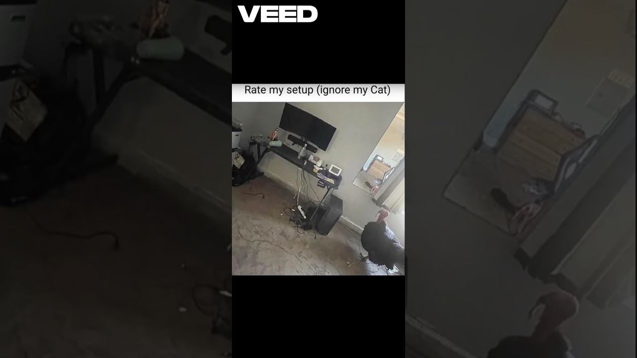 Stupid Gen Alpha kids pt.1