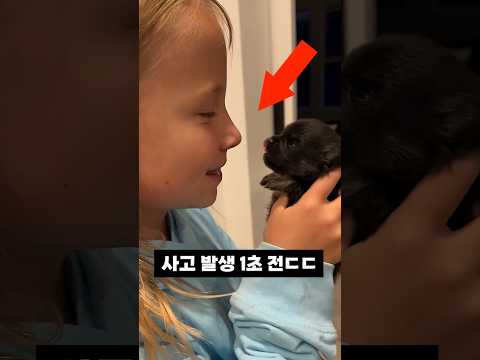 심약자 시청 금지!!! thumbnail