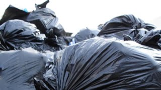 Landscape waste to be picked up every other week, City of Memphis says