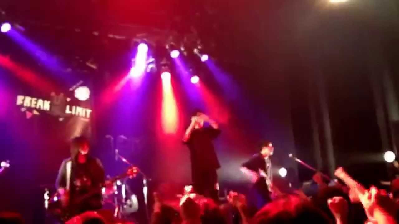 BIG CAT グランドチャンピオン Effort Is Rewarded