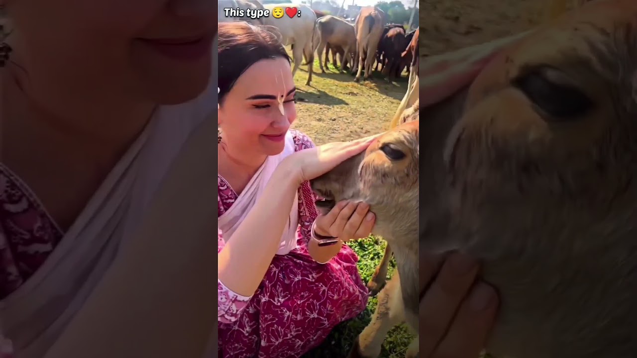 Bss AISI BIWI MIL JAYE 😍😍 