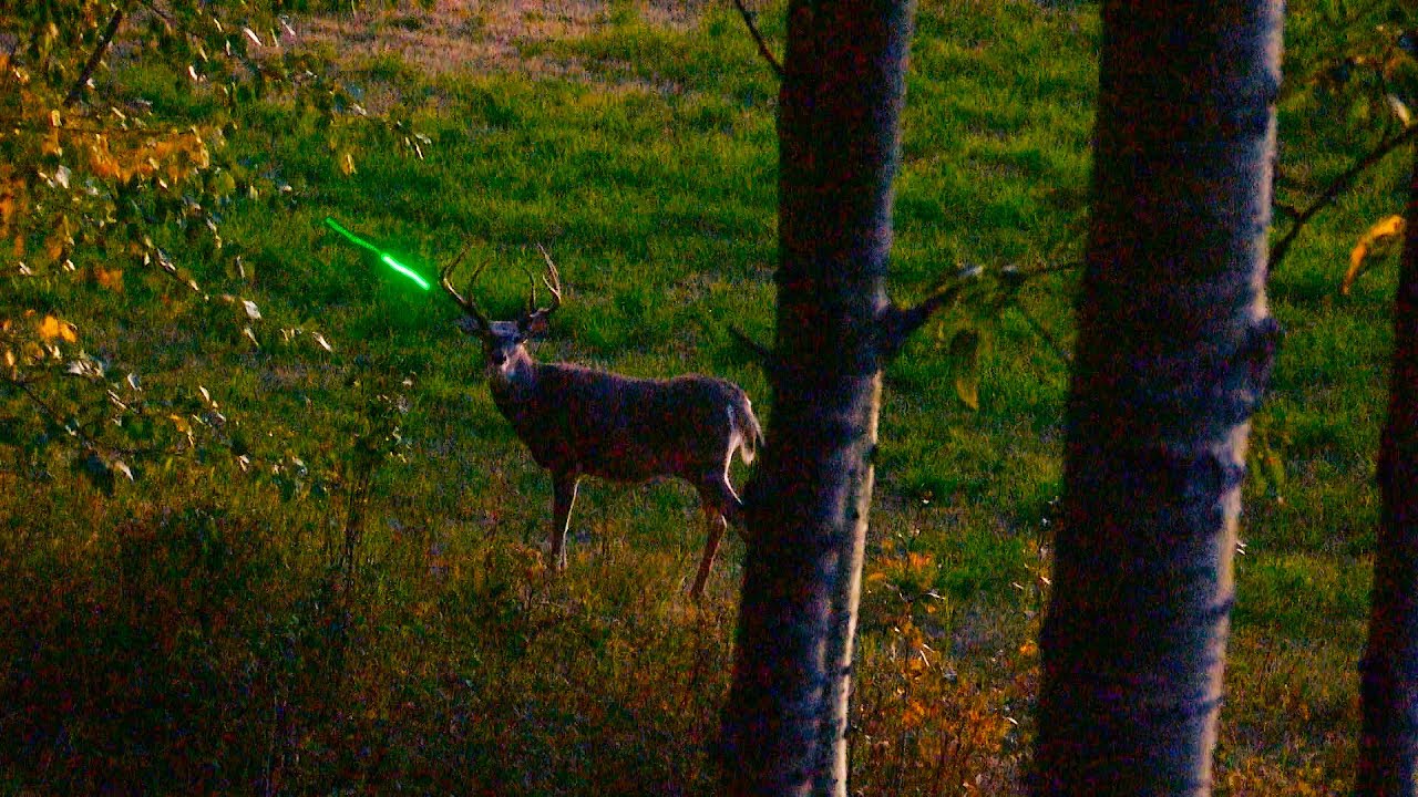 Killn Stix "Premium carbon fiber arrows"    kill shots