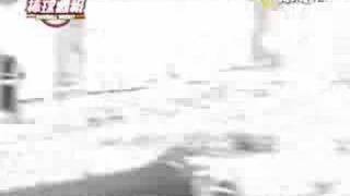 泰山163全壘打球去向