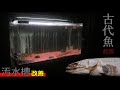 長年放置気味だったこの汚水槽をイカしたアフリカン水槽にしてみる / 古代魚ポリプテルスの起源について詳しくお話しします【アクアリウム】