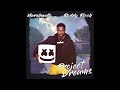 [Free Download] Marshmello x Roddy Ricch - Project Dreams (Instrumental)