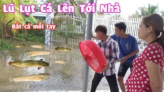 Nước Lũ Lên Tới Nhà Bắt Cá Đêm Làm Món Tả Pí Lù [ Trang And Vinh ]