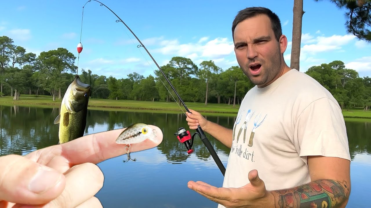 I tried Catching Big Bass on the Smallest Lures I own