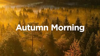 Autumn Morning Vibes 🍂 Chill Mix for Your Morning