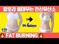 🔥출렁이는 지방🔥단기간에 빼고 싶으면 이 유산소운동 1달만 하세요. (유산소 다이어트/전신 유산소 타바타/칼로리 폭발 운동)