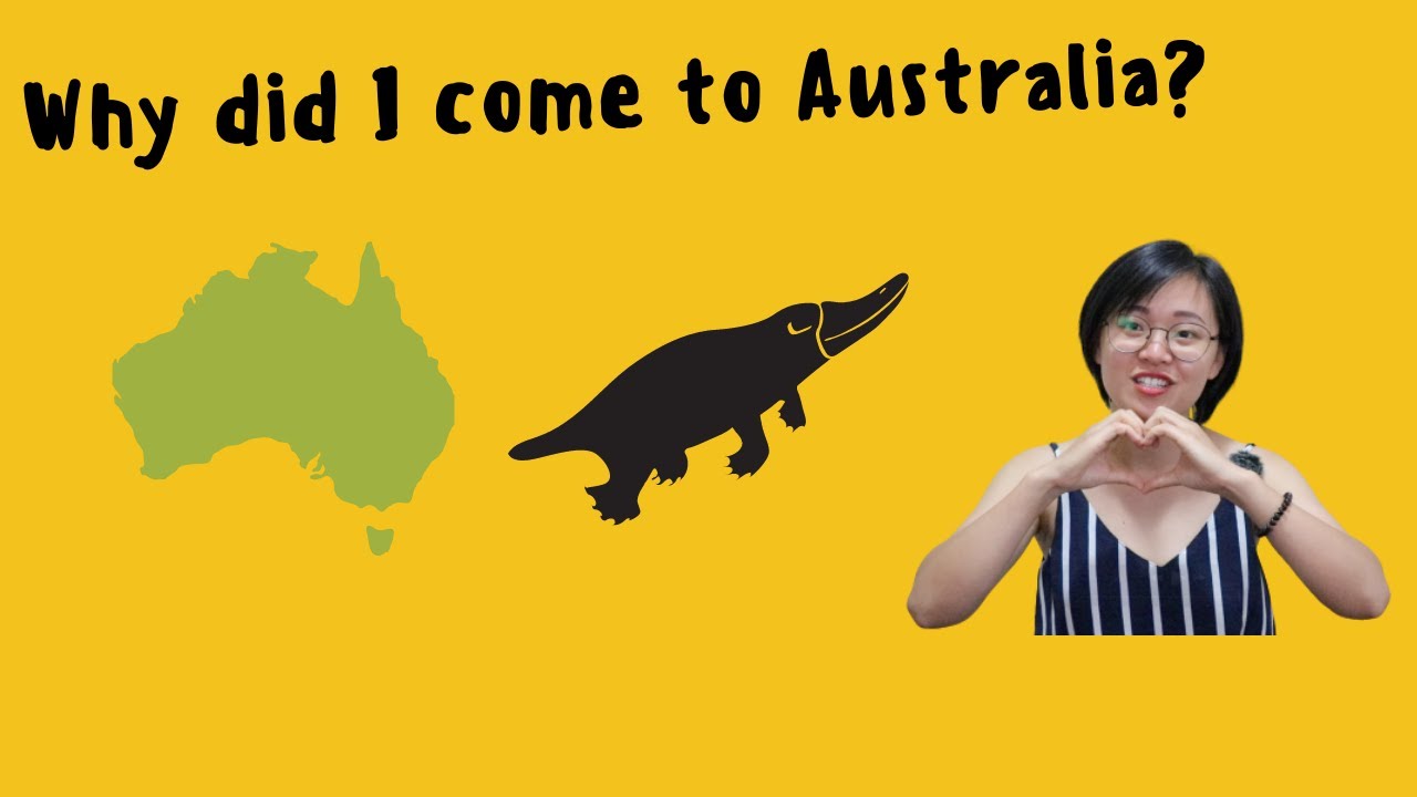 Intermediate Why Did I Come To Australia Comprehensible Input Intermediate why did i come to australia comprehensible input