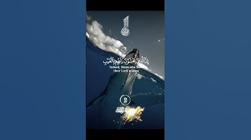 القرآن الكريم تلاوة خاشعة #السعودية #اكسبلور #explore #duet