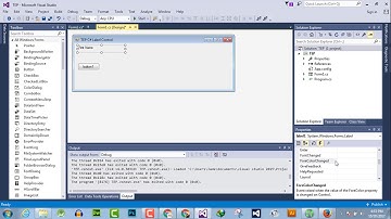 046 - L - C# Label ForeColorChanged Event Handlers