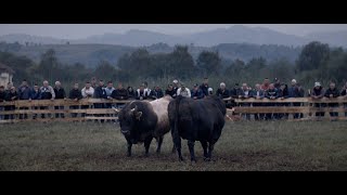 KORIDA dokumentarni film, njemacki titlovi