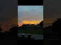 #sunset #sad #life #dissapointment #fyp .
