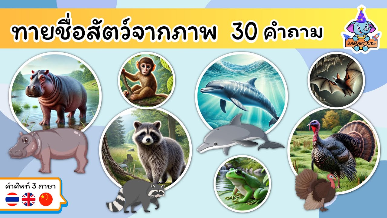 เกมทายชื่อสัตว์จากภาพ 30 คำถาม | เรียนคำศัพท์พร้อมกัน 3 ภาษา ไทย อังกฤษ จีน | ฝึก IQ | สามารถคิดส์