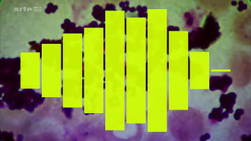 Magic Visualizer demo 1