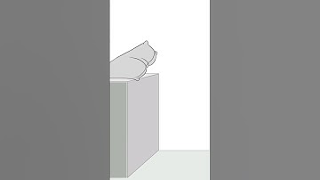 Floursack Animation! #shorts