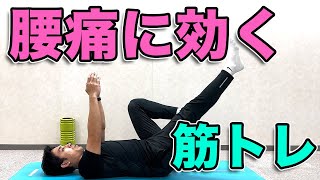 ローカル筋トレーニング　腰痛 体幹鍛え、腰痛予防 姿勢キープし筋肉作る | NIKKEIリスキリング