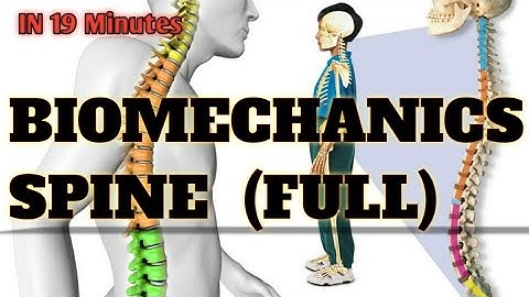 BIOMECHANICS OF SPINE | FULL BIOMECHANICS OF SPINE | SIMPLEST WAY