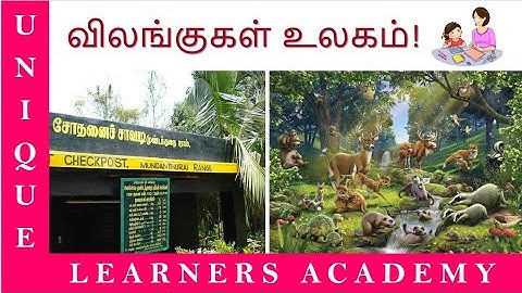 விலங்குகள் உலகம் | ஏழாம் வகுப்பு | தமிழ் | Vilangugal ulagam | 7th std | Tamil