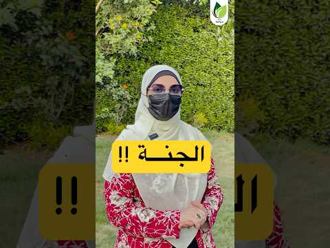 الجنة ونعيمها فى صدقة تقدمها مع د مرڤت علام جنة عمل قرآن سبحان الله