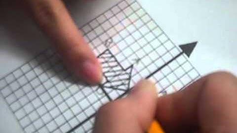 Reflecting Across the Y-Axis, by Braden a